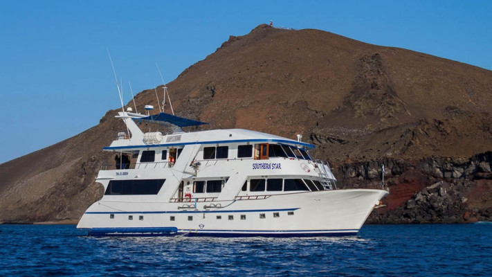 Cruise Ship Partners Needed