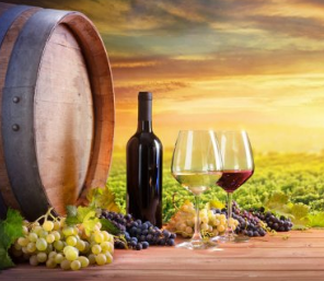 Established Wine Distributor with Exclusive Brands