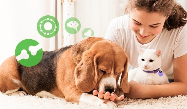 Natural Pet Supplement Wholesaler and Retailer