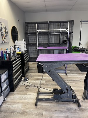 Successful Pet Grooming Business for Sale in NY