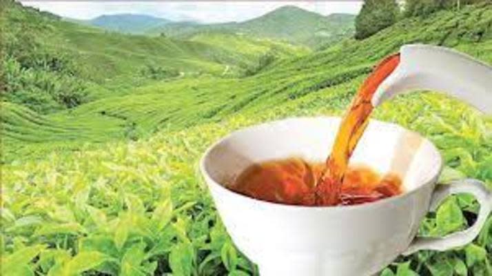 Tea Company for Sale