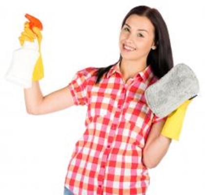 Cleaning Franchise Territories for Sale -NY