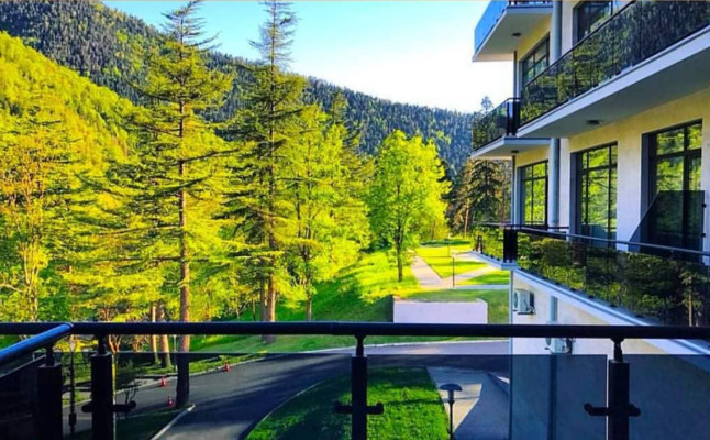 Unique Balneological Resort of Georgia in Sale