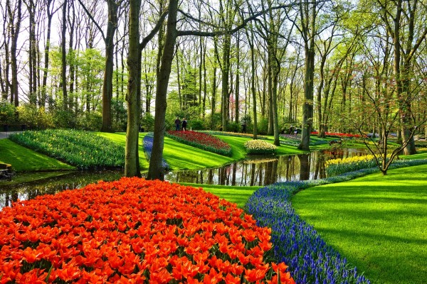 Florida Commercial/Residential Landscaping Company