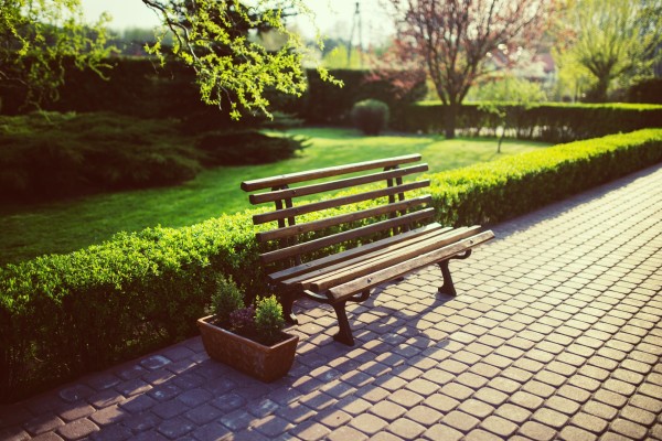 Bay Area Commercial Landscaping Contractor