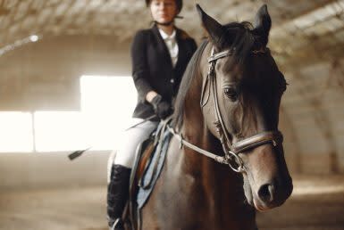 Italian Equestrian Business Center