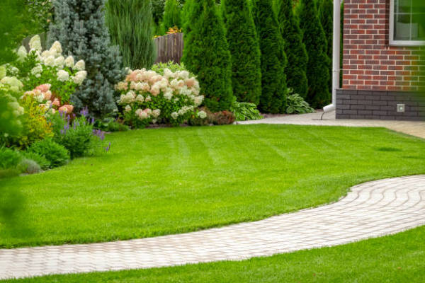 Lawn Care Services Company
