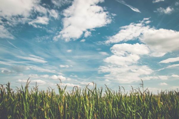 Agricultural Products Company with Real Estate