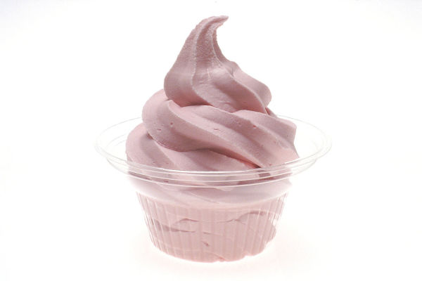 Frozen Yogurt Shop in Busy Peninsula Mall