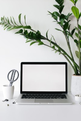 Established Ecommerce Baby Product Business