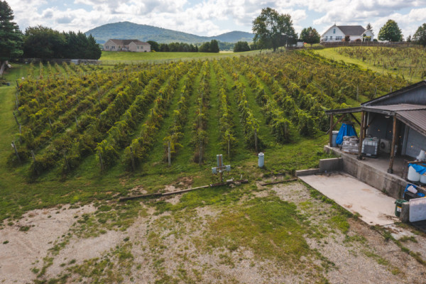 Whitebarrel Winery for Sale Near Christiansburg VA