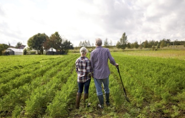 Prospering Farm and Market