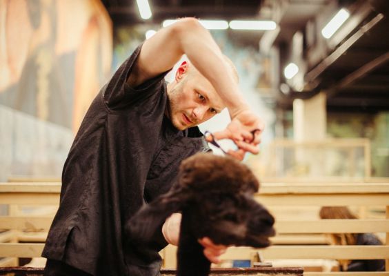 Highly-Rated Pet Store And Grooming Center
