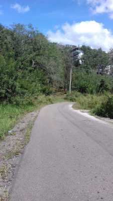 200 Acres Land for Sale / Sri Lanka