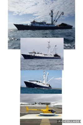 Tuna Purse Seiner Vessels for Sale
