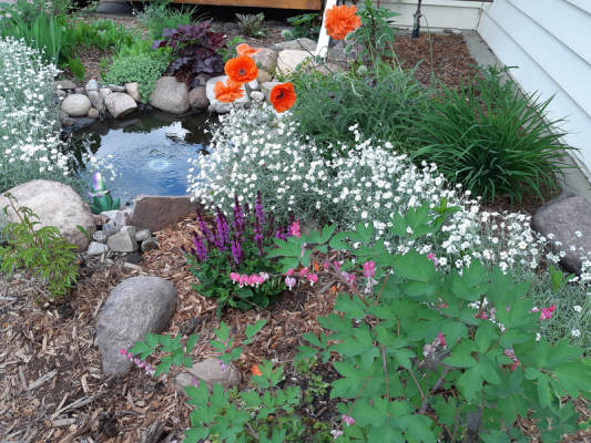 Landscaping Company