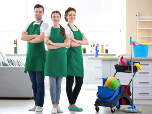 Established Franchise Cleaning Business