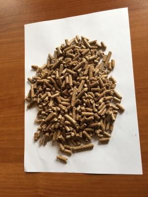 Wood Pellets - Fuel - Bio Fuel