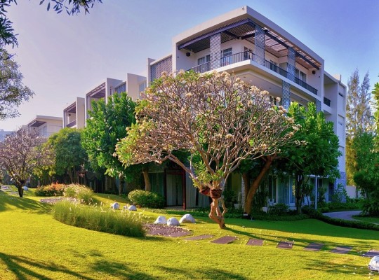 MBE/DBE Landscaping & Construction Co. for Sale