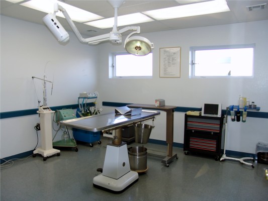 Quality-Focused Pet Clinic
