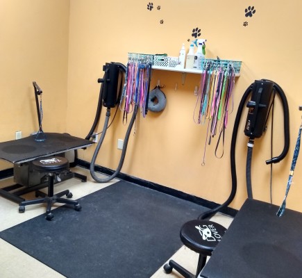 Dog Grooming Salon
