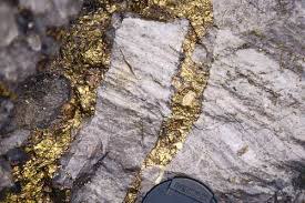 Gold Claim in Nevada for Sale