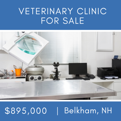 Veterinary Practice For Sale (Belknap, NH)