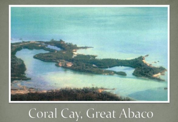Low Cost Low Risk High Return Bahamas Development