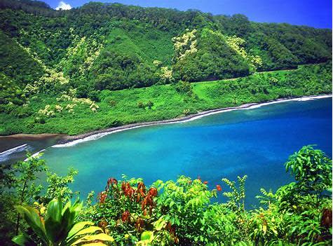 Maui Tour Company