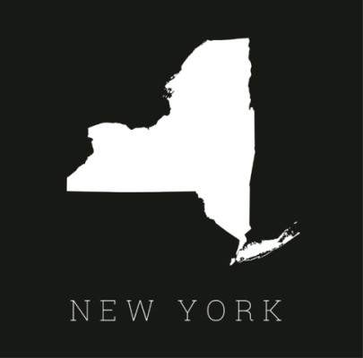Upstate New York Practice For Sale