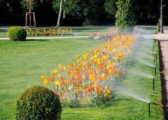Established Irrigation Business in the Okanagan