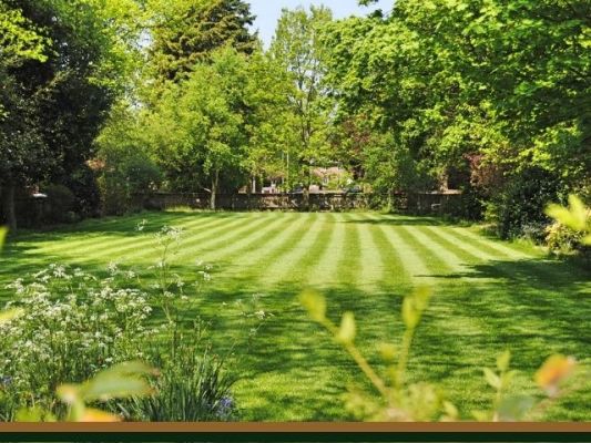 Premier Provider of Custom Landscape Design