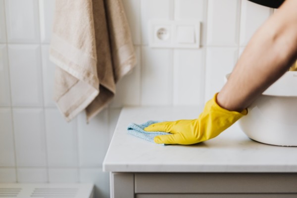 Thriving Residential Maid Brigade Franchise