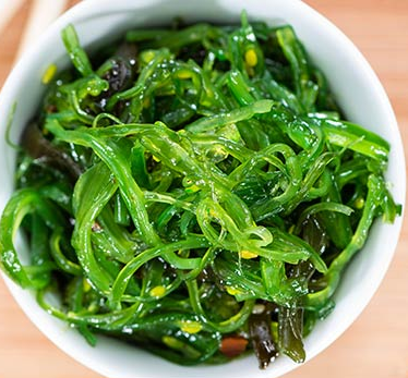 Wanted Seaweed Cultivation Investors
