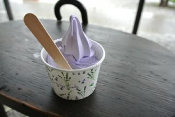 Frozen Yogurt Shop for Sale in PA