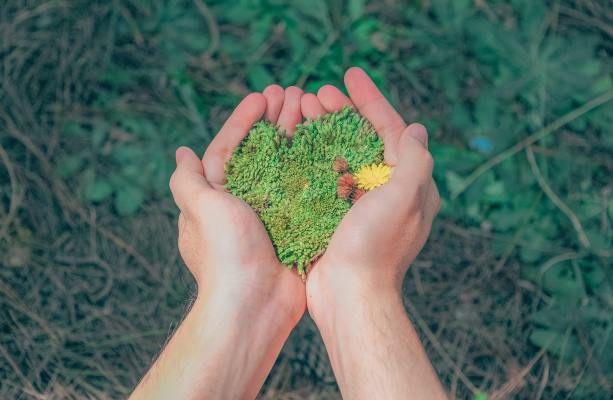 Environmental Consulting Services-$2.7M in Backlog