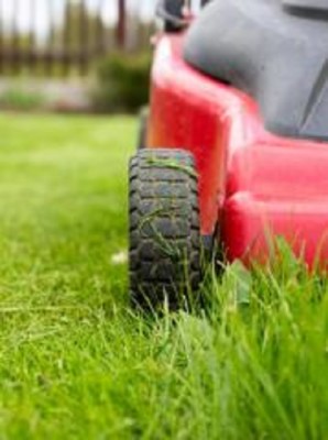 Well Established Landscaping Business in Nassau