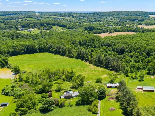 Marketing for Undeveloped & Unmaintained Land