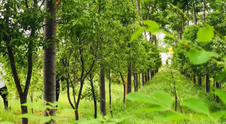 Sri Lanka Agriculture Business Funding Wanted