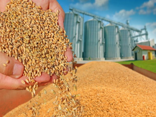 Construction Farm & Commercials and Equipment Sale