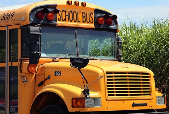 Profitable School Bus Company For Sale in NJ