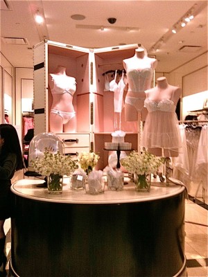 Premier Women’s Undergarment Store – Atlantic Cty