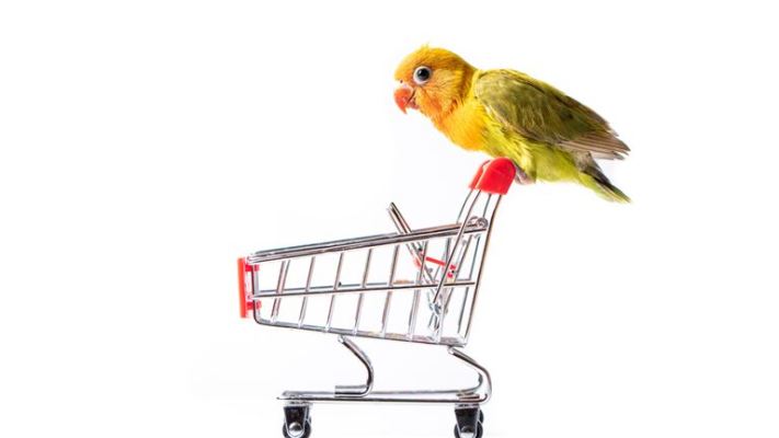 Profitable, Well Established Retail Franchise