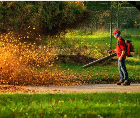 FL Lawn Business: Monthly Recurring Rev $42,500