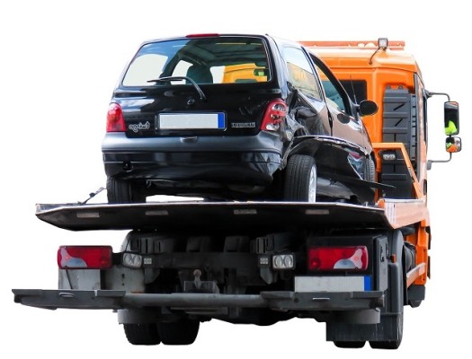 Niche Vehicle Transport Business for Sale