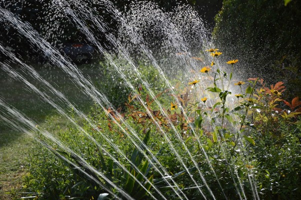 Landscape Irrigation Design