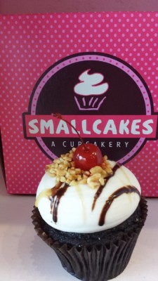 Smallcakes Franchise in Denton County