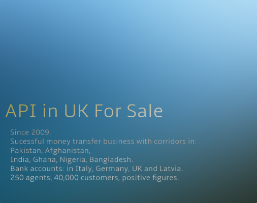 Authorized Payment Institution in UK For Sale