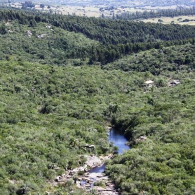 Drinking Water Business In Uruguay