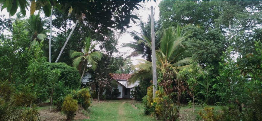 100 Year Old House for Sale in Sri Lanka